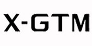 新格新 - X-GTM